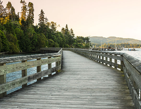 Lifestyle & Location